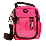 Pink Urban Day Pack