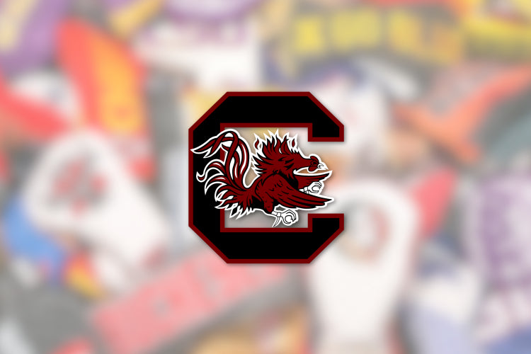 University Of South Carolina