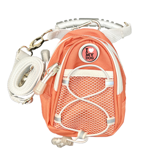 Louisville Cardinals Mini Day Pack - Pink