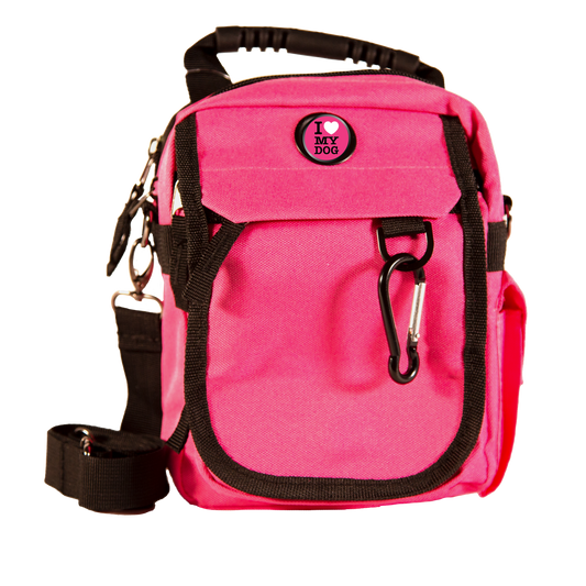 Pink Urban Day Pack