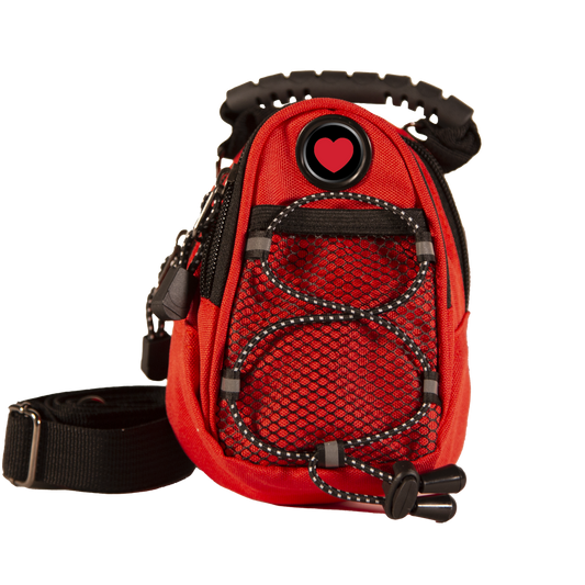 Red Mini Day Pack